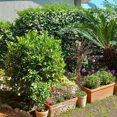 B&B Villa Noemi Formia Kültér fotó