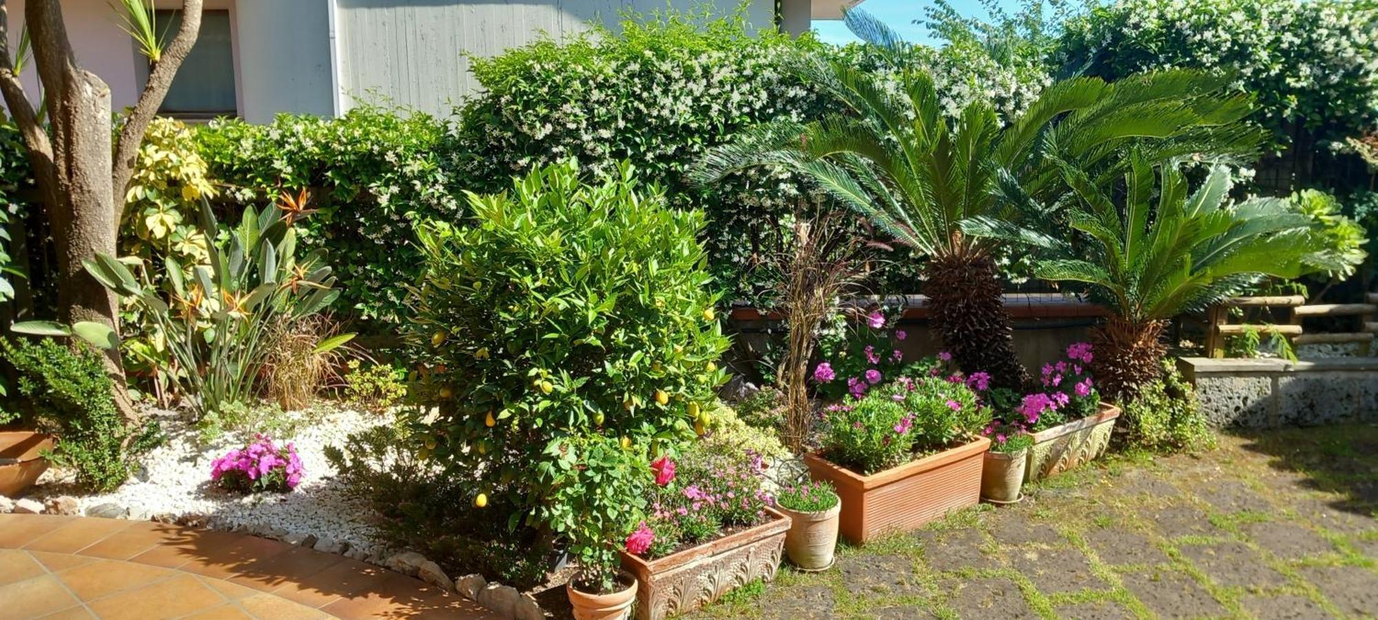 B&B Villa Noemi Formia Kültér fotó